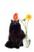 Black Cat with Daisies